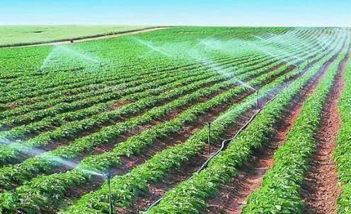 鸡巴h农田高 效节水灌溉